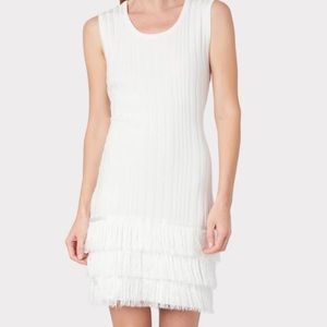 Milly Fringe Sleeveless Fitted Dress